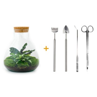 Urbanjngl Diy Terrarium - Sammie - ? 26 Cm
