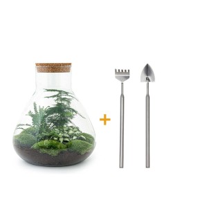 Urbanjngl Diy Terrarium - Sam Xl - ? 35 Cm