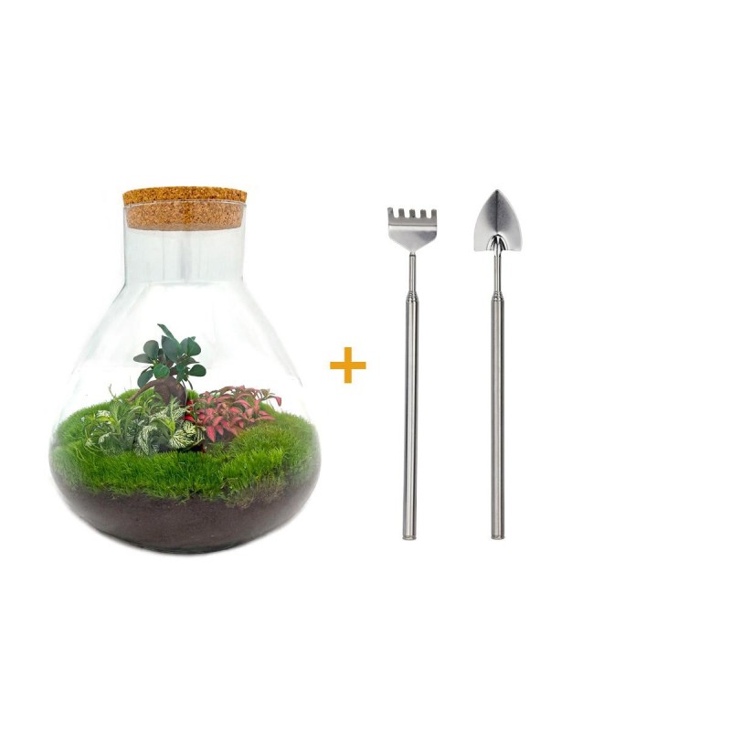 Terrarium DIY Kit - Sam XL Bonsai - Bottle Garden - ↑ 35 cm – urbanjngl