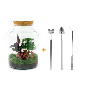 Urbanjngl Diy Terrarium - Milky - ? 30 Cm