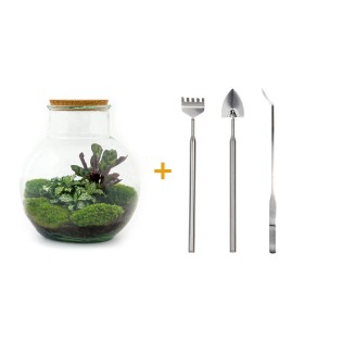 Urbanjngl Diy Terrarium - Teddy - ? 26,5 Cm