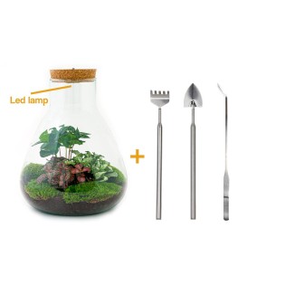Urbanjngl Diy Terrarium - Sam With Light - ↑ 30 Cm
