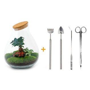 Urbanjngl Diy Terrarium - Drop Xl - ? 37 Cm