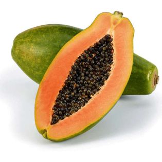 Papayer : Carica papaya var. caballero