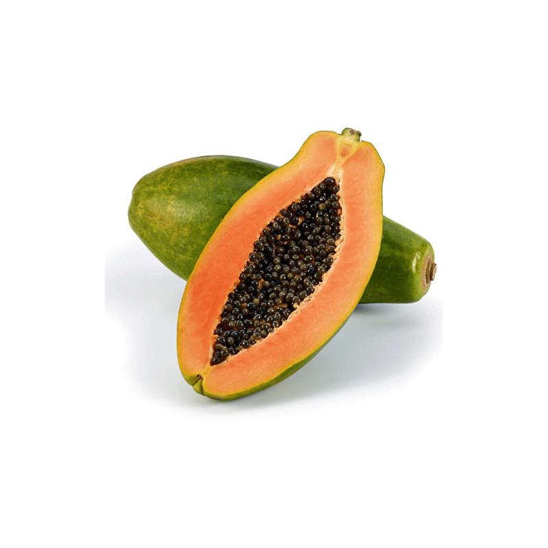 Papayer : Carica papaya var. caballero