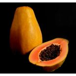 Papayer : Carica papaya var. Siluet (pulpe rouge)