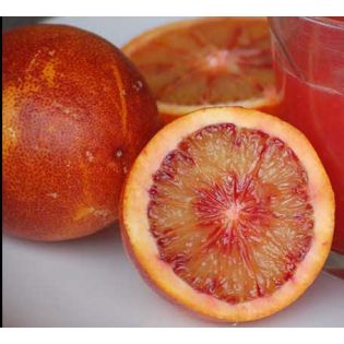 Citrus sinensis var.sanguine ou sanguinelli (orange sanguine)