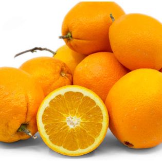 Citrus sinensis var.Navelate (orange la meilleure tout simplement))