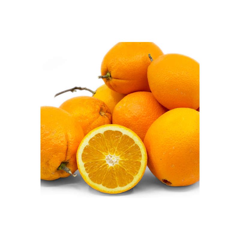 Citrus sinensis var.Navelate (orange la meilleure tout simplement))