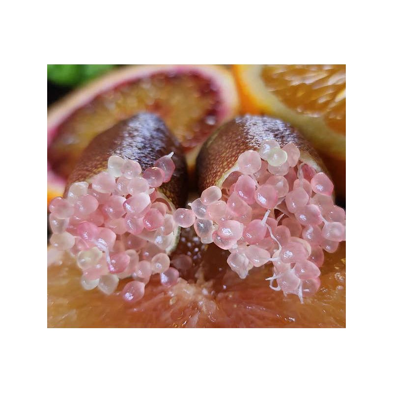 Microcitrus australasica pulpe rose (Caviar de citron)