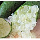 Microcitrus australasica pulpe blanche (Caviar de citron)