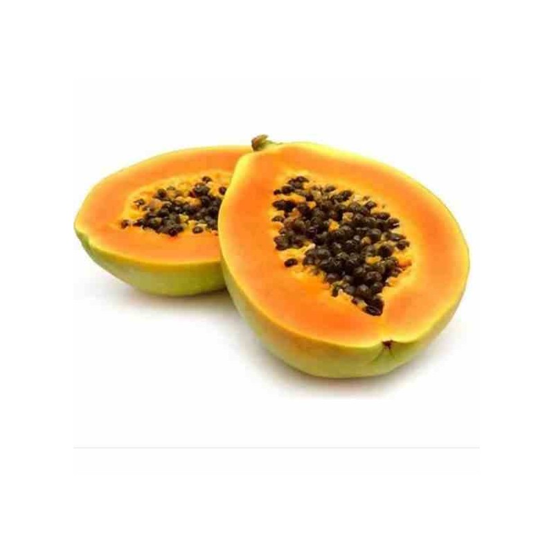 Papayer : Carica papaya var. Maradol