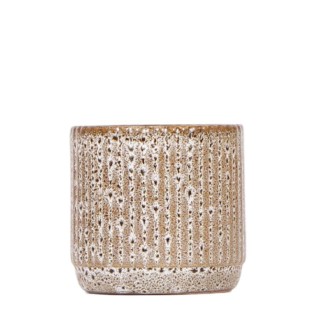 Kolibri Home | Jaguar