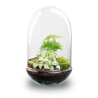 Diy Terrarium - Egg Xl - ↕ 30 Cm