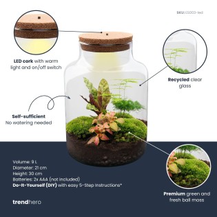 Diy Terrarium - Milky - ↕ 30 Cm