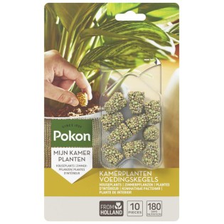 Houseplants Food Cones - 10 Pieces