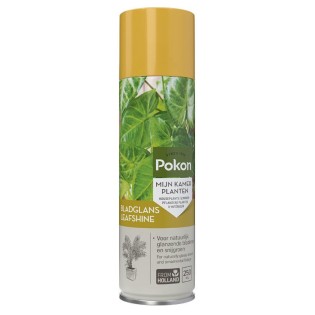 Pokon Leaf Shine 250 Ml