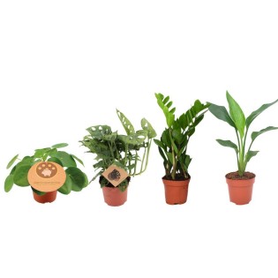 Musthave Plantbox - 4 Pieces - Ø12Cm - ↕20-40Cm