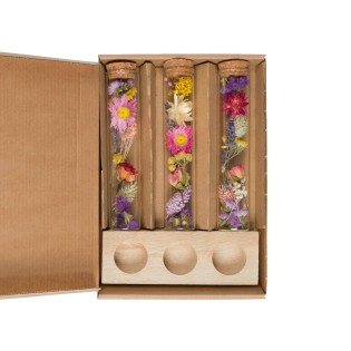 Dried Flowers - Message In A Box Large - Multi - 8 Pieces - ↕15Cm