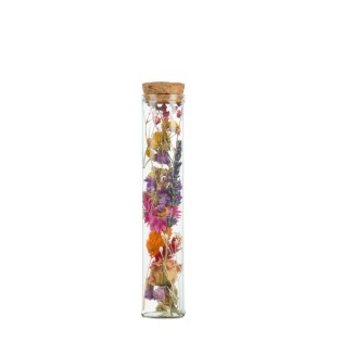 Dried Flowers - Wish Bottle Medium - Multi - 6 Pieces - ↕15Cm