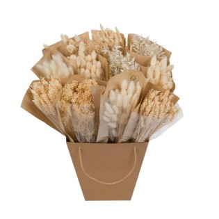 Dried Flowers - Dried Mono Mix - White - ↕50Cm