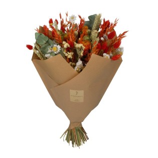 Dried Flowers - Classic Bouquet - Orange - 4 Bouquets - ↕60Cm
