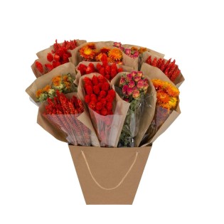 Dried Flowers - Dried Mono Mix - Orange - ↕50Cm