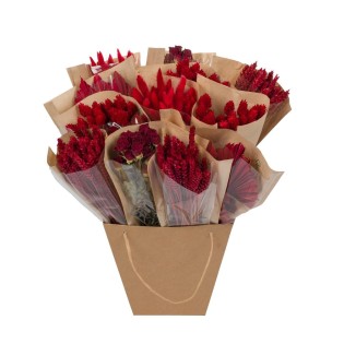 Dried Flowers - Dried Mono Mix - Red - ↕50Cm