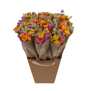 Dried Flowers - Market More - Multi - ↕50Cm - 10X