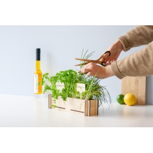 Herbal Post - Parsley Seeds And Chives Seeds, Incl. Wooden Growing Tray