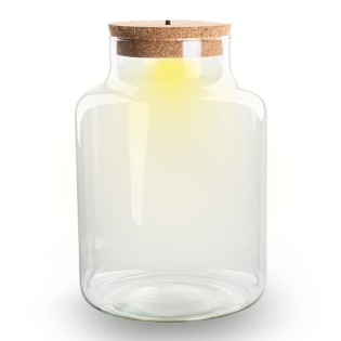 Bottle Garden With Led Light In Cork - Little Milky Terrarium With Light  ↑ 24.5 Cm - Bottle Garden