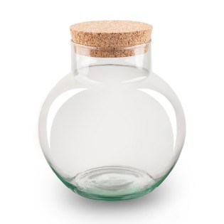Bottle Garden Terrarium With Cork - Noah - ↑ 20 Cm