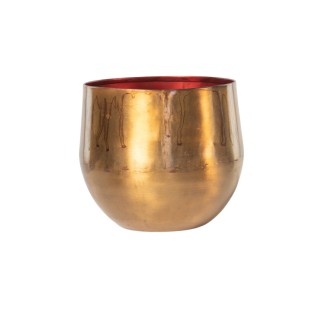 Ayka Old Camel - D28Xh25