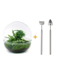 Diy Terrarium - Dome Xl - ↕ 30 Cm