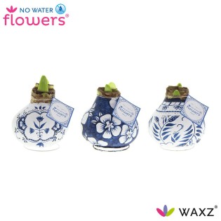 No Water Flowers Waxz Delfts Blauw Mix - 3 Piecess - Ø7 Cm - ↕15 Cm