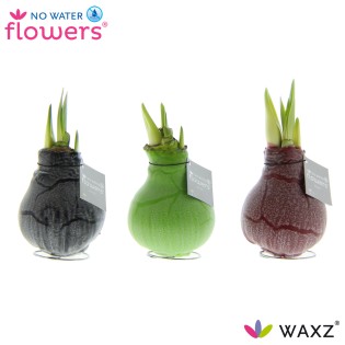 No Water Flowers Waxz Marble - 3 Pieces - Ø7 Cm - ↕15 Cm