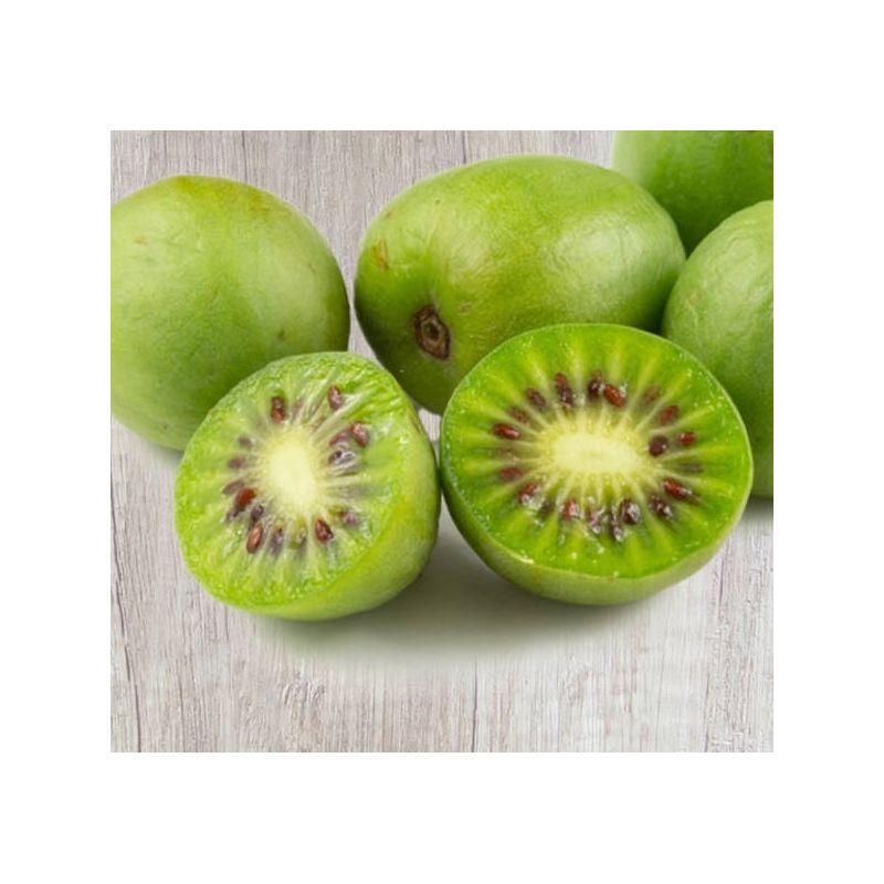Actinidia arguta Issai ( kiwai, nergi, kiwi de Sibérie, kiwi nain)