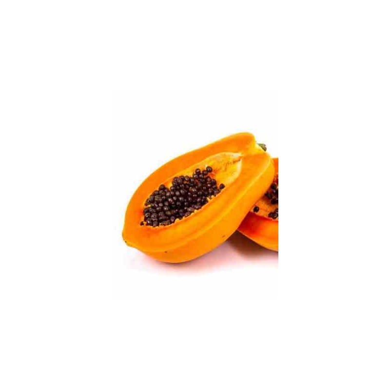 Papayer : Carica papaya var. Caballero